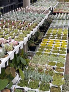 ここ最近の入荷　第三弾