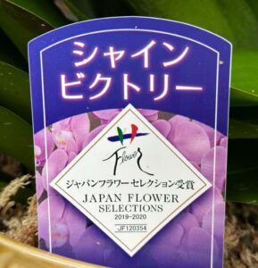 今週の入荷情報　第二弾