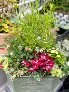 今週の入荷情報　第三弾