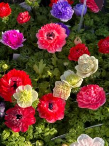 色々と入荷してます