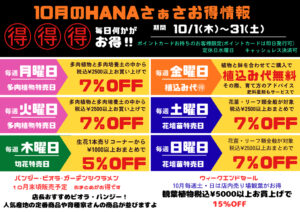 HANAさぁさ10月のお買得情報と入荷予定